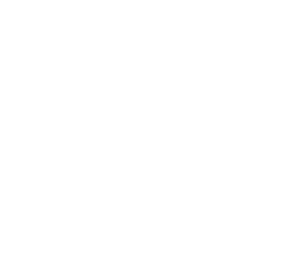 PPA Logo Today