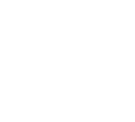 Pinnacle Path Business Services Today White